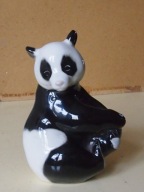 Łomonosow - miś Panda