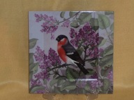 Bradex Kolekcjonerski talerz ozdony płytka Davenport Anglia Ptaki Kwiaty