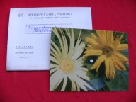 KUNICKA jak dobrze mieć sąsiada POCZTÓWKA DŹWIĘKOWA Ruch NOWA