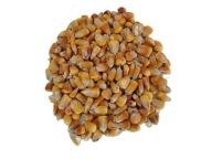 Kukurydza ziarno, karma, pasza 25 kg