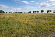 Działka, Puck, Pucki, 659 m²