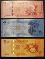Syria 3 sztuki banknotów 10, 25 i 50 funtów syryjskich nowa emisja 2025 UNC
