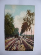 ZAGINIONY ŚWIAT FURMANKA NA DRODZE WŚRÓD WRZOSÓW przedwojenna POCZTÓWKA