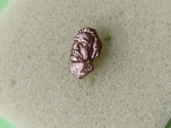 Oryg Odznaka - GŁOWA LUCJANA RYDLA- płaskorzeźba- miniaturka- MIEDZIANA