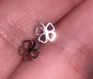 Kolczyki koniczyna koniczynki