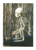 Pocztówka - Szkielet małpki z talizmanem / bezoar