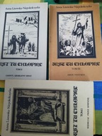 Jest tu chłopiec t. I-III Lisowska-Niepokólczycka