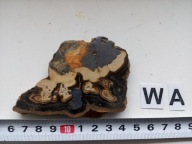 MIN 1289 BLENDA CYNKOWA poler cena 1 sztuki 39 zł