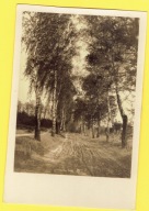 Karta Pocztowa - Pocztówka - 23