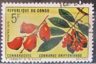 Kongo stary znaczek (1/16
