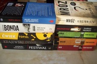 ZESTAW 10 KSIĄŻEK KRYMINAŁ / THRILLER POLSKIE