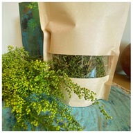 ARTEMISIA ANNUA GRYPA WIRUSY BORELIOZA NERWICA SEN ŁUSZCZYCA BÓL NOWOTWORY