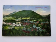 SOKOŁOWSKO Gorbersdorf Schles - Sanatorium Grunwald panorama z górami STARA
