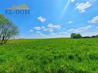 Działka, Tałty, Mikołajki, Mrągowski, 3035 m²