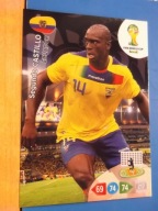 PANINI WORLD CUP BRAZIL 2014 Ekwador S. Castillo
