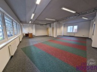 Biurowiec, Poznań, Wilda, 21 m²