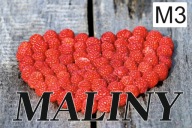 BANER PLANDEKA SPRZEDAŻ MALIN 120X80 M3