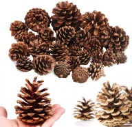 Szyszki sosnowe ozdobne bombki sosna DIY zwykłe naturalne suche 100 sztuk