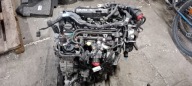 SILNIK 2.0 TDCI, HDI, T8CC EURO 6 Ford Peugeot Citroen 15-19 ROK