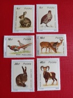 Filatelistyka polska od 1981r