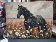 Obraz kon Kary 40x50