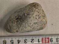 Agat mszysty muszlowy