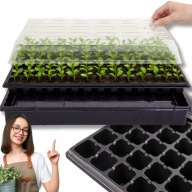 MINI SZKLARNIA SZKLARENKA DOMOWA OGRODOWA NA PARAPET DO WYSIEWU NA BALKON