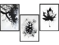 Plakat Zestaw 40x50 3szt. plakaty, postery, NATURA #1