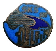 Delfin Łódź zwykła