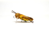 Wobler konik polny brązowy hand made, rękodzieło