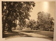 KLEMENSÓW. Fragment parku, CZYSTA, NISKI NAKŁAD - TYLKO 1000 SZTUK, 1967 r.