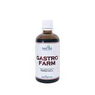 Gastro FARM 100 ml zgaga refluks PH żołądka NIE ZAWIERA MIĘTY Invent Farm