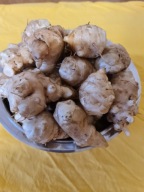 Topinambur duże bulwy ,świeżo kopany z mojego ogrodu 1kg
