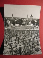 Zielona Góra z 1962