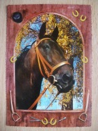 Koń Konie. Piękny portret konia. Stara widokówka.