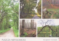 PUSZCZA NIEPOŁOMICKA - REZERWAT WIŚLISKO-KOBYLE - LIPÓWKA - CZARNY STAW