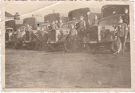 RAD - owcy obok samochodów ciężarowych