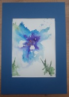 KWIATY (43) dla 884 Skubalskich