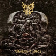 Defeated Sanity - Chronicles of Lunacy, Winyl, nowy (black)