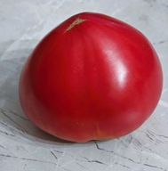 Pomidor Kosovo (216) nasiona kolekcjonerskie