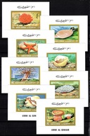 **882 Umm Al Qiwain 682-689 BLOKI DE LUX - KORALOWCE, RAFA KORALOWA, MUSZLE