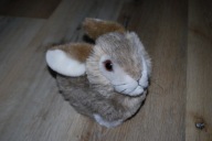 pluszak maskotka fajny zając zajączek od Tchibo