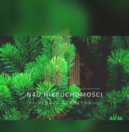 Działka, Nadarzyn, Nadarzyn, Pruszkowski, 1000 m²