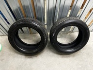 2x OPONA CAŁOROCZNA FALKEN EUROALL SEASON AS210 195/55R16 2023R