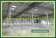 Magazyny i hale, Ruda Śląska, 13100 m²