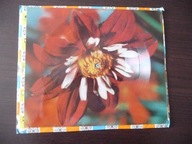 Mireille Mathieu, Ewa Śnieżanka (pocztówka)