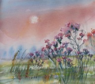 Osty o zachodzie Akwarela Sabina Salamon 24x28