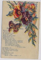 Słowa piosenki Motyl Bratki ok.1908r. SECESJA Polska Walc z610