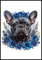 A2 OBRAZ PLAKAT PIES PUPIL PLAKAT BULDOG FRANCUSKI