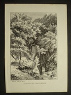 Gorges du Chauderon, oryg. 1884